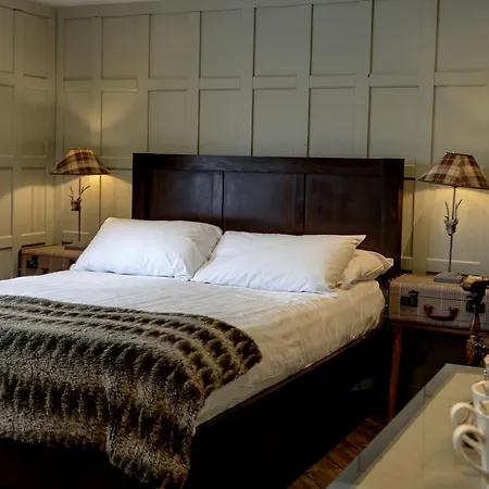 Hotel Beck Hall 4*